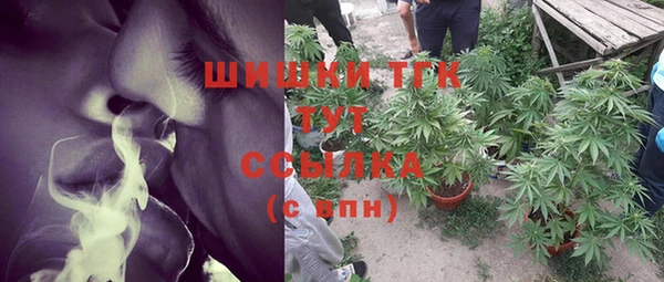 дурь Алексеевка