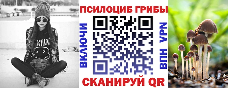 Псилоцибиновые грибы Magic Shrooms  Цимлянск 